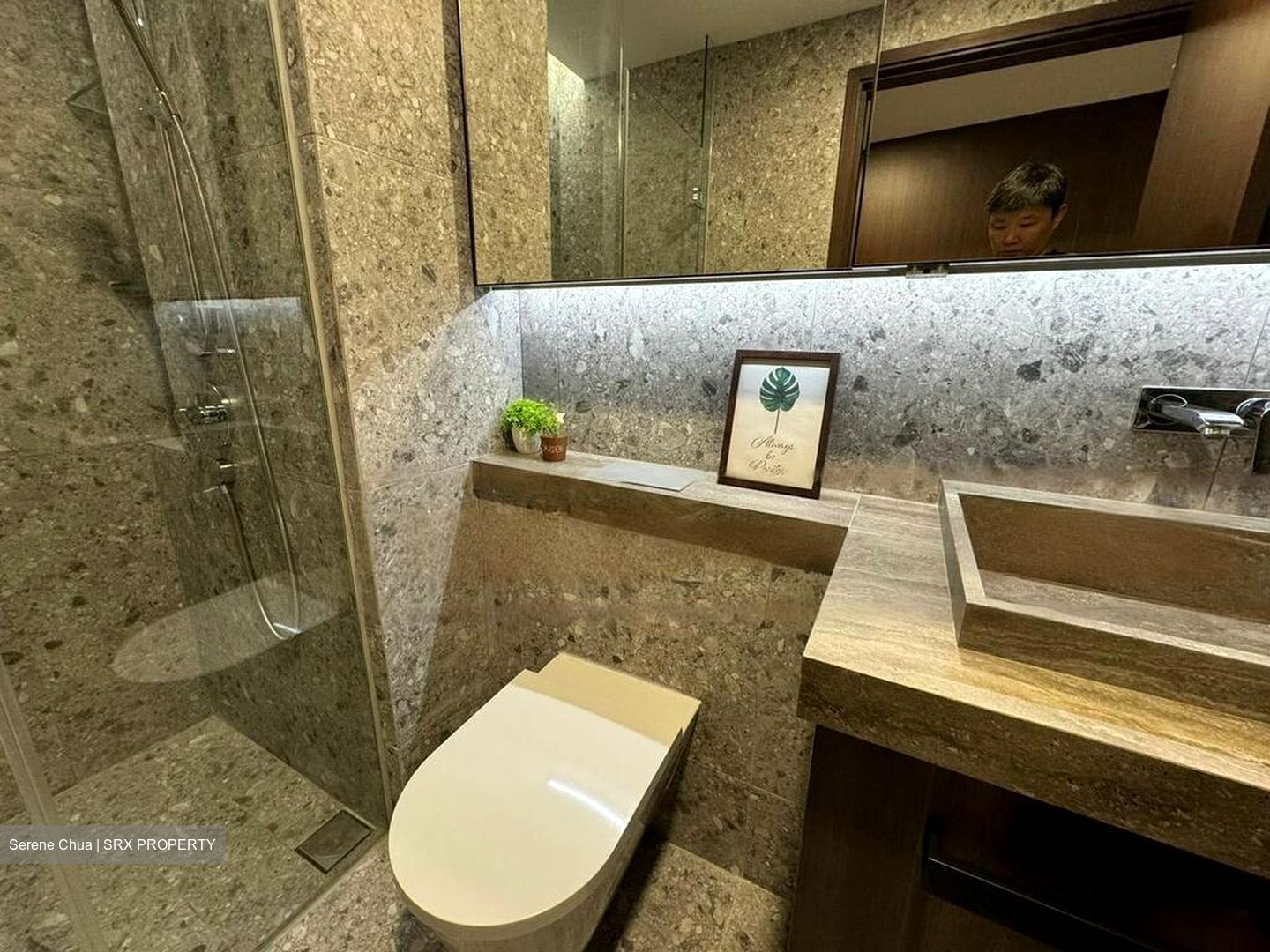 One Pearl Bank (D3), Apartment #520838841
